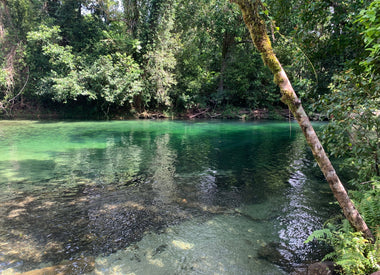 Australia - Watch The Adventures of Priscilla, Queen of the Desert Before You Go
