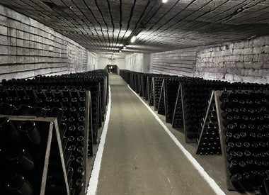 How Much Can Independent Travel Save You?