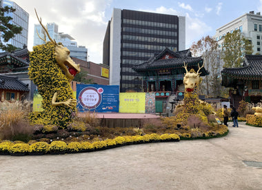 South Korea - Watch Okja before you go