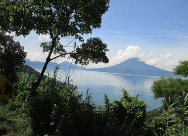 The Flag of Guatemala