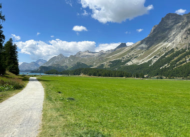 Swiss valley and mountains with lush green grass and bright blue sky at Sils Maria, Switzerland 