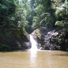 Exploring Borneo with Eric Hansen's Stranger in the Forest