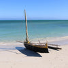 Visiting Madagascar with Peter Tyson's Madagascar: The Eighth Continent