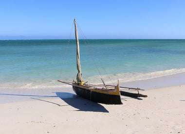 Visiting Madagascar with Peter Tyson's Madagascar: The Eighth Continent