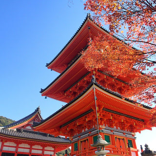 Red pagoda and red autumn leaves in Japan with a clear blue sky