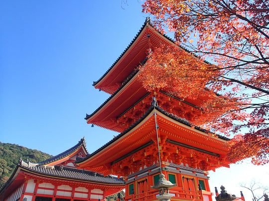 Red pagoda and red autumn leaves in Japan with a clear blue sky