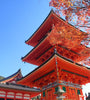 Red pagoda and red autumn leaves in Japan with a clear blue sky