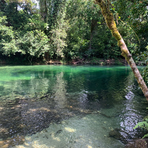 A natural pool at Babinda Boulders Queensland. The surrounding jungle make the crystal clear water appear green