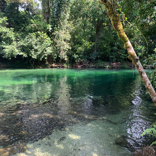 A natural pool at Babinda Boulders Queensland. The surrounding jungle make the crystal clear water appear green