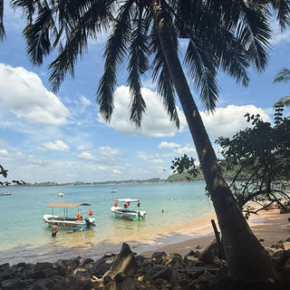 Palm tree, beach and lagoon with pleasure boats, Galle, Sri Lanka