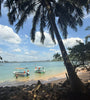 Palm tree, beach and lagoon with pleasure boats, Galle, Sri Lanka