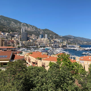 A view of Monaco showing the red rooftops, modern apartment blocks and the famous marina
