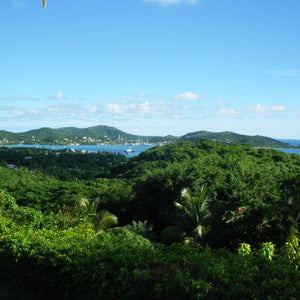 View across the jungle canopy of Antigua with Freeman's Bay and Nelson's Dockyard in the distance