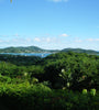 View across the jungle canopy of Antigua with Freeman's Bay and Nelson's Dockyard in the distance