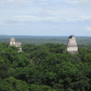 Jungle canopy stretching to the horizon in the foreground are the peaks of two Mayan pyramids in north Guatemala