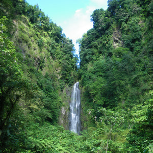 A waterfall with steep cliffs on either side covered in bright green vegetation