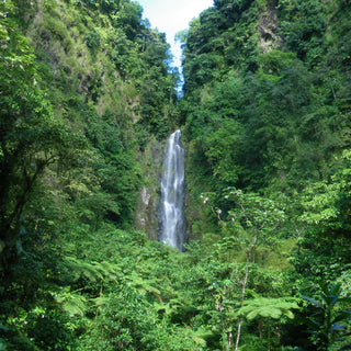 A waterfall with steep cliffs on either side covered in bright green vegetation