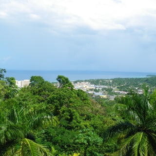 View from hillside over jungle canopy and the sea in Jamaica