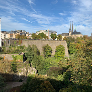 A view of Luxembourg City and fortifications across Petrusse Park