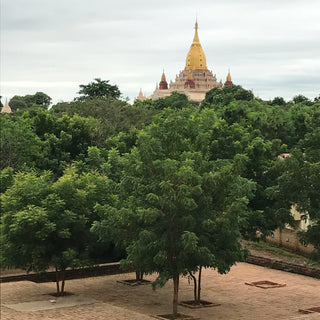 Pagoda with gold dome in Bagan Myanmar