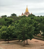 Pagoda with gold dome in Bagan Myanmar