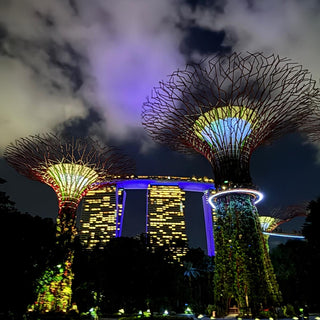Supertrees, Singapore's Gardens by the Bay, man-made vertical gardens 25 to 50 meters heigh, with vibrant greenery and captivating light and sound show at night