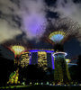 Supertrees, Singapore's Gardens by the Bay, man-made vertical gardens 25 to 50 meters heigh, with vibrant greenery and captivating light and sound show at night
