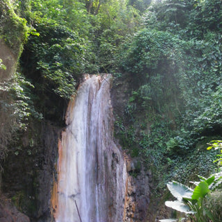 A waterfall is nestled within a vibrant Caribbean jungle, surrounded by towering green trees and dense vegetation in St. Lucia